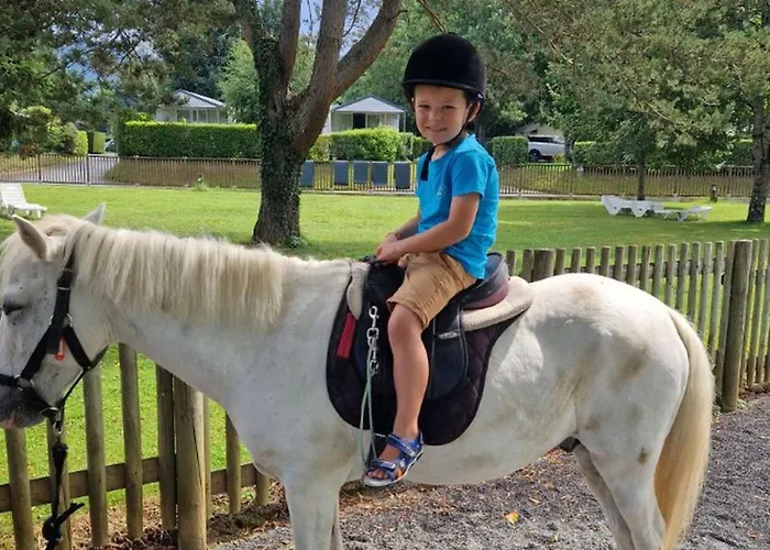 营地 Mobil-home 4 Pers Avec Terrasse A - Api-1-52-1301 *