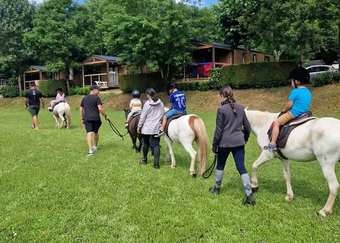 营地 Mobil-home 4 Pers Avec Terrasse A - Api-1-52-1301