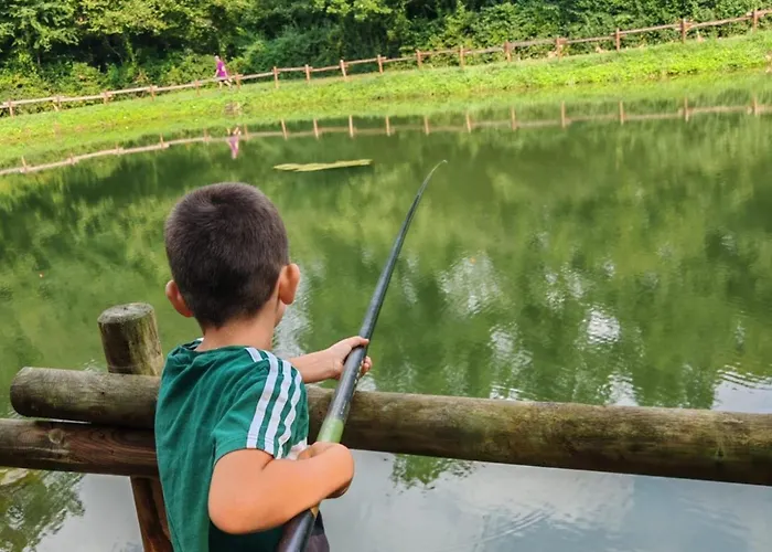 Mobil-home 4 Pers Avec Terrasse A - Api-1-52-1301 * Saint-Geniez-dʼOlt